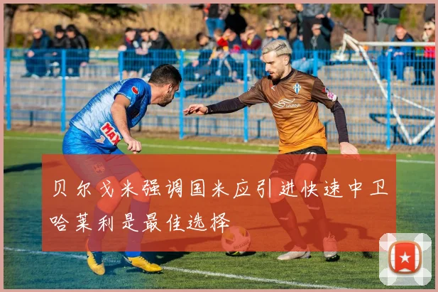 贝尔戈米强调国米应引进快速中卫哈莱利是最佳选择